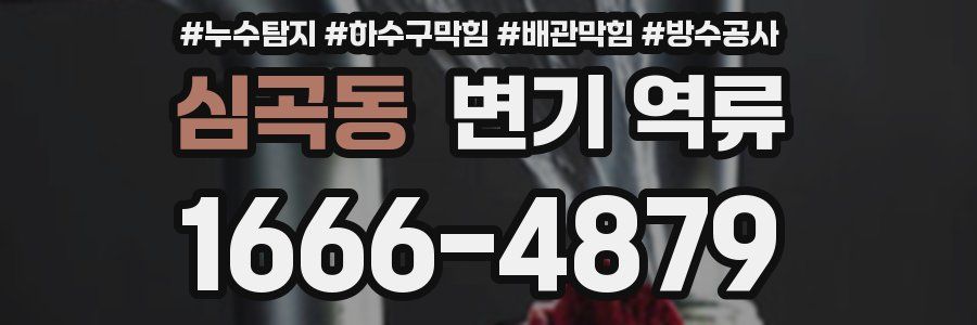 심곡동 변기 역류