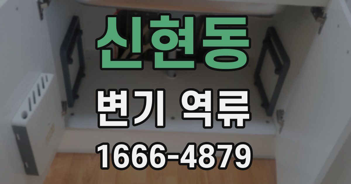 신현동 변기 역류