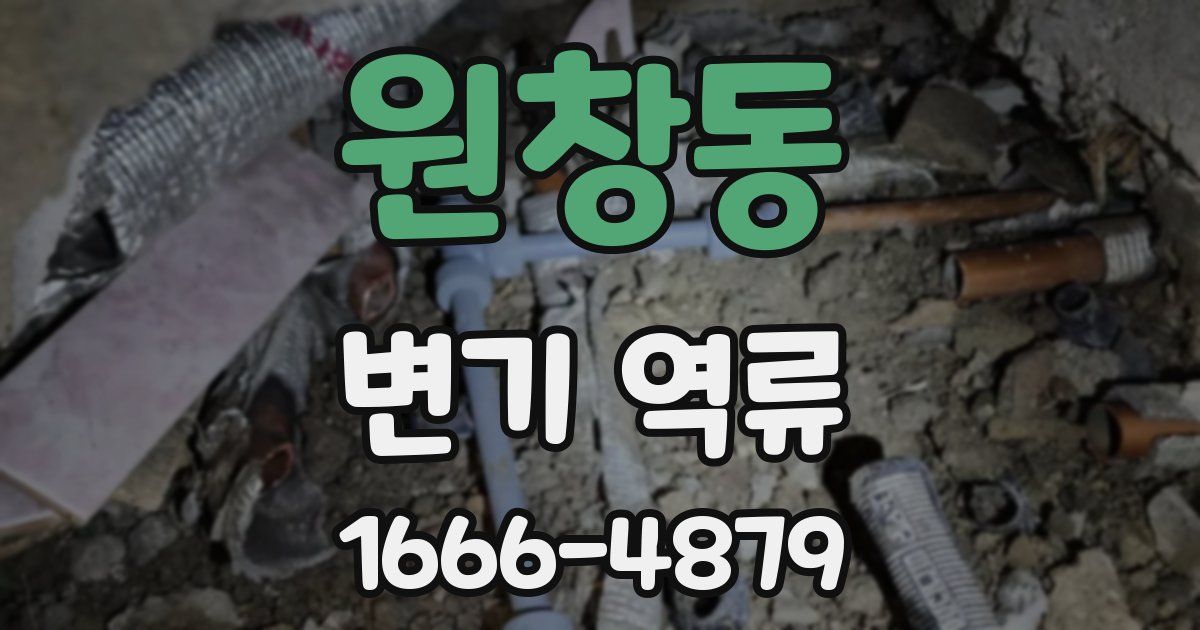 원창동 변기 역류