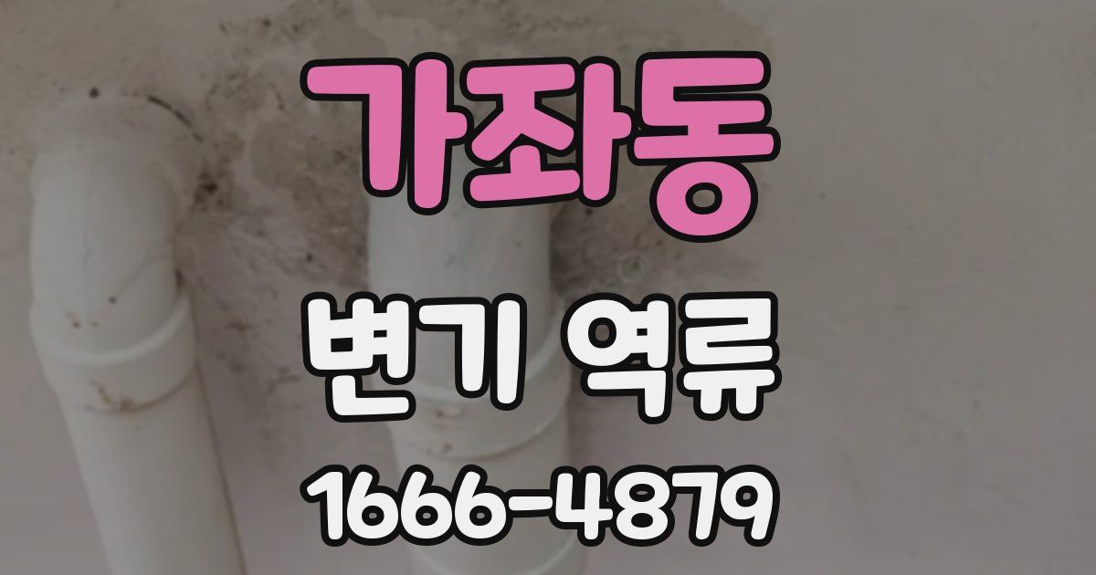 가좌동 변기 역류
