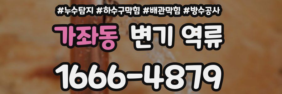 가좌동 변기 역류