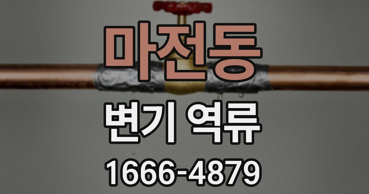 마전동 변기 역류
