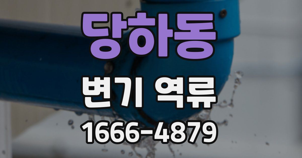당하동 변기 역류