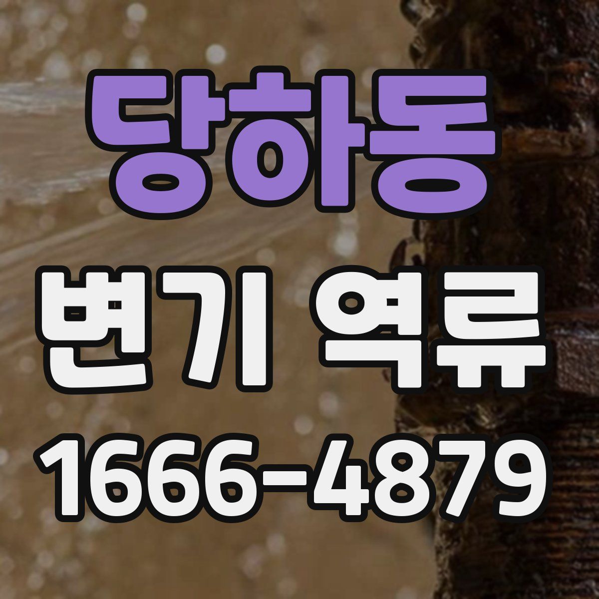 당하동 변기 역류