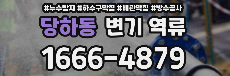 당하동 변기 역류