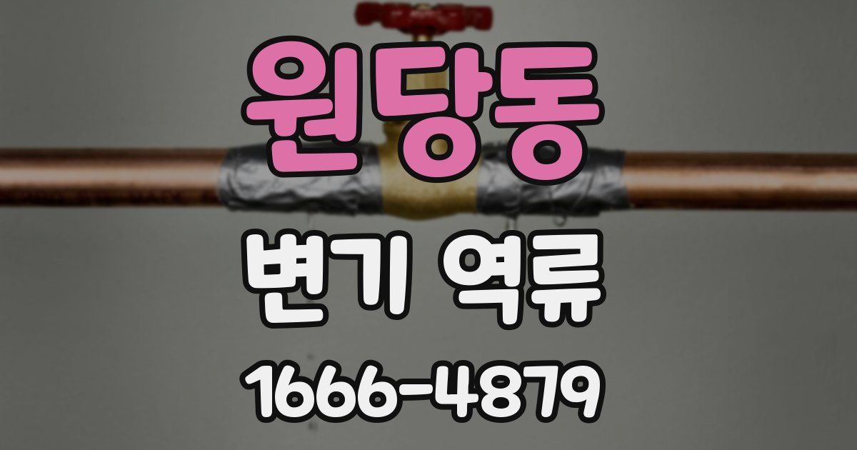 원당동 변기 역류