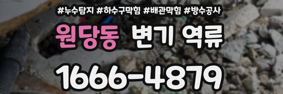 원당동 변기 역류