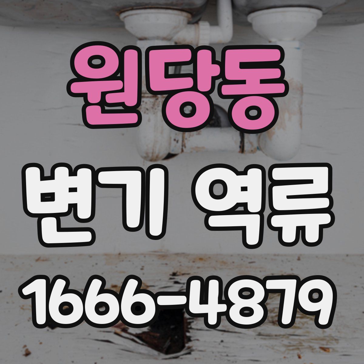 원당동 변기 역류
