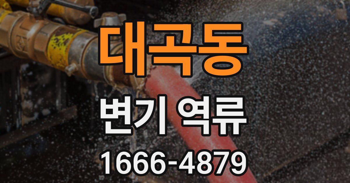 대곡동 변기 역류