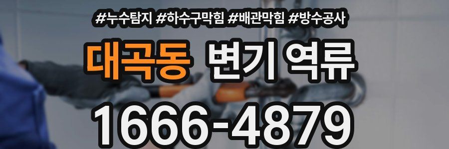 대곡동 변기 역류