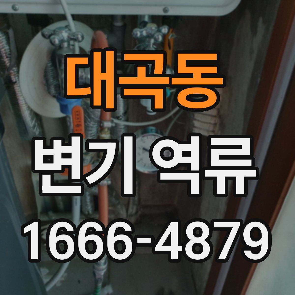 대곡동 변기 역류