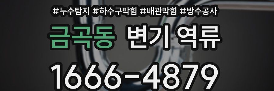 금곡동 변기 역류