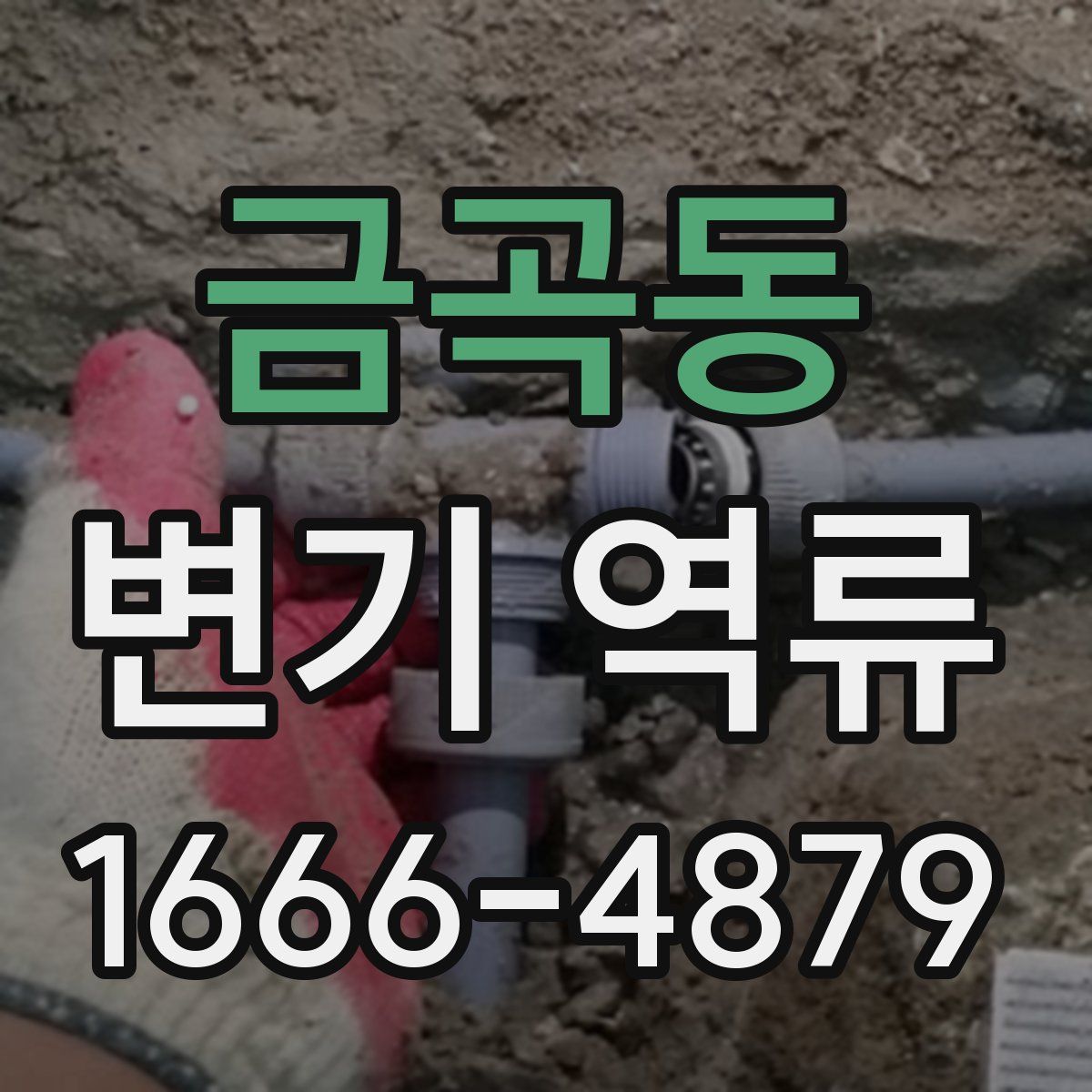 금곡동 변기 역류