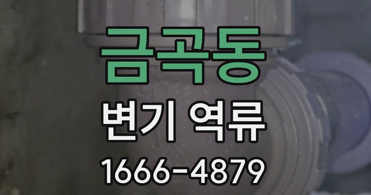 금곡동 변기 역류