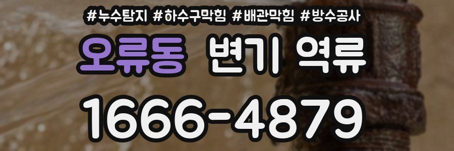 오류동 변기 역류