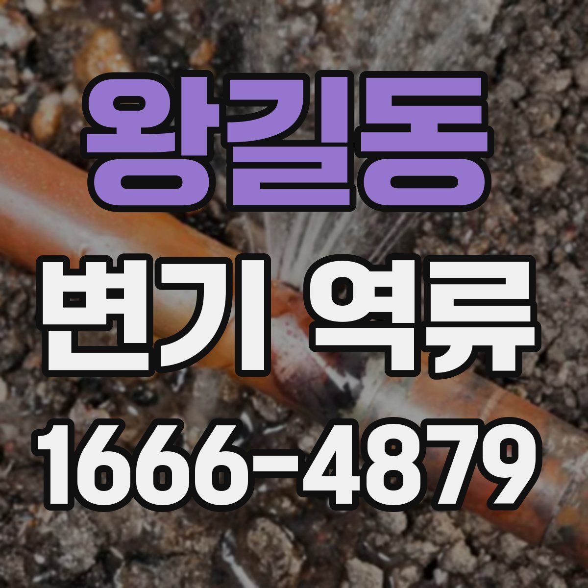 왕길동 변기 역류