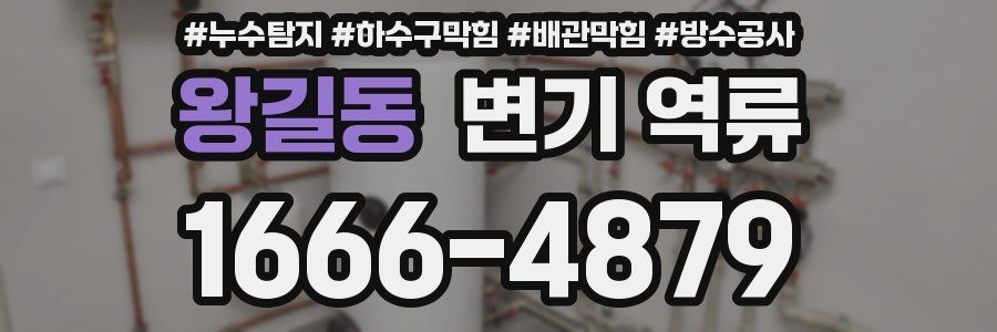 왕길동 변기 역류