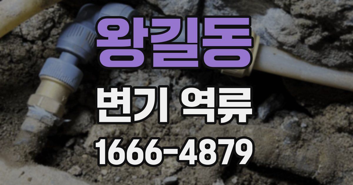 왕길동 변기 역류