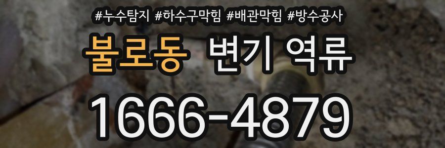 불로동 변기 역류