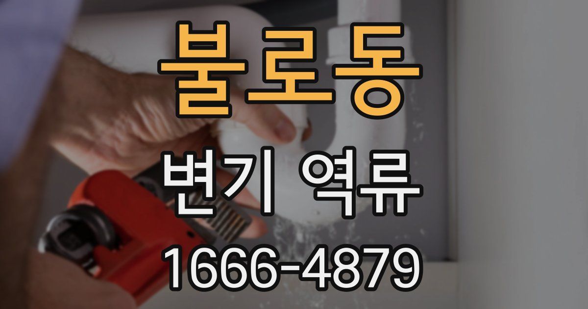 불로동 변기 역류