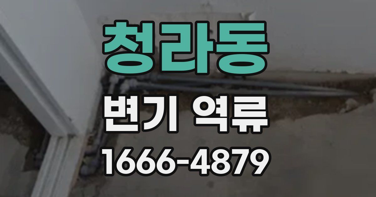 청라동 변기 역류