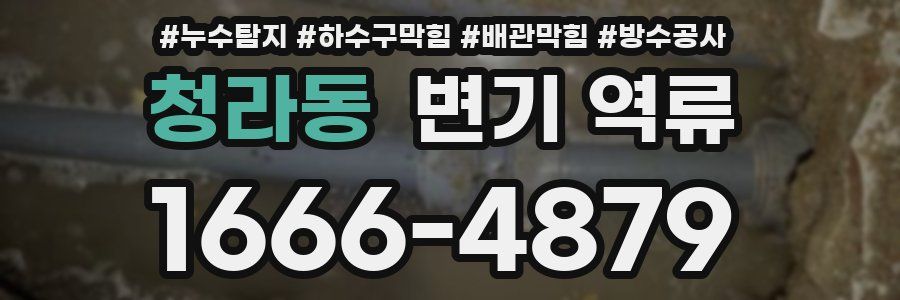 청라동 변기 역류