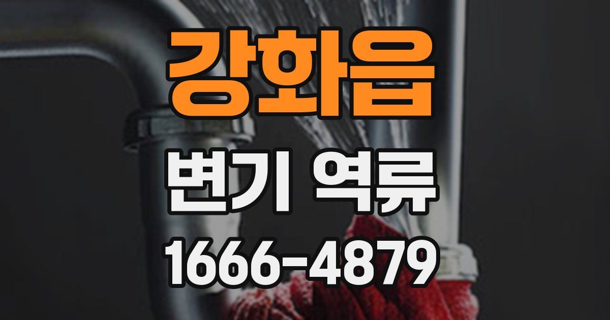 강화읍 변기 역류