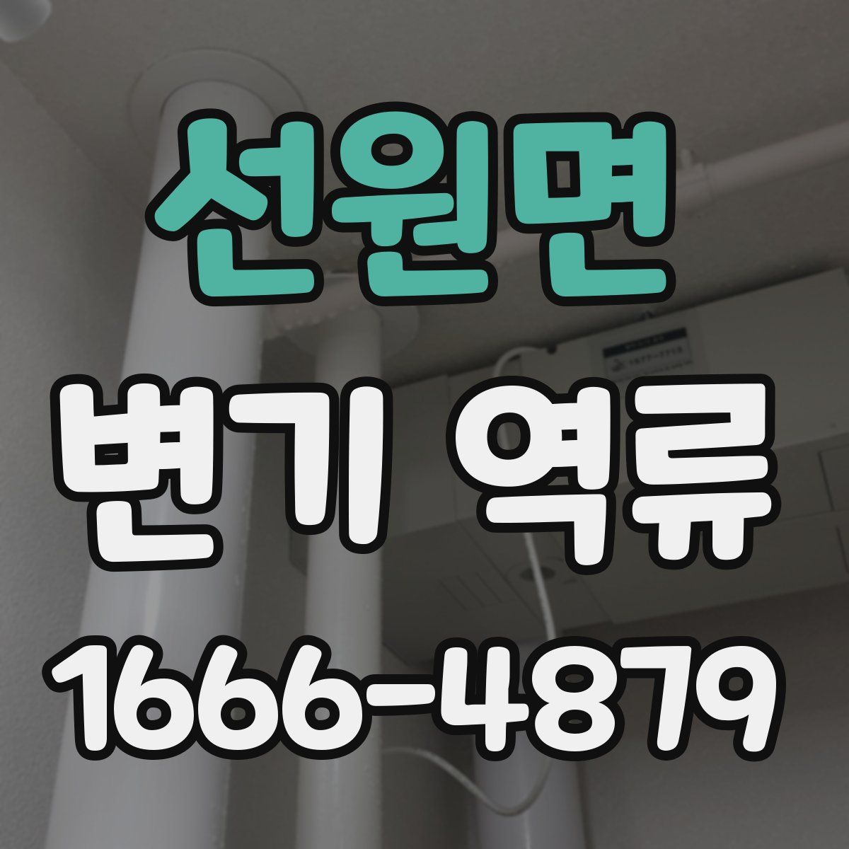 선원면 변기 역류