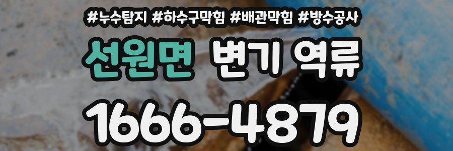 선원면 변기 역류