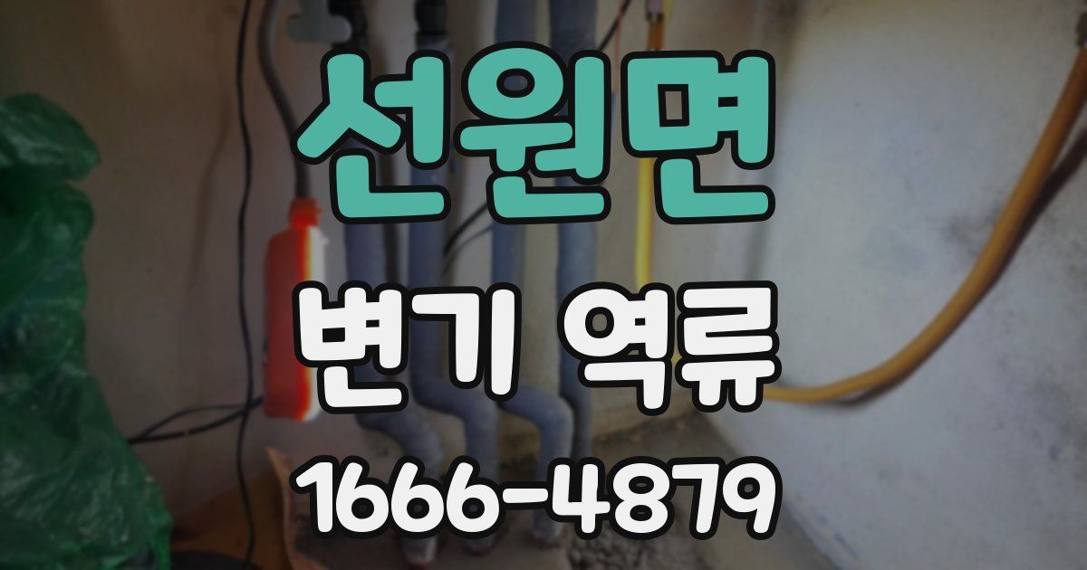 선원면 변기 역류