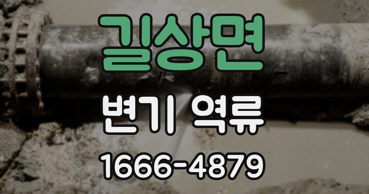 길상면 변기 역류