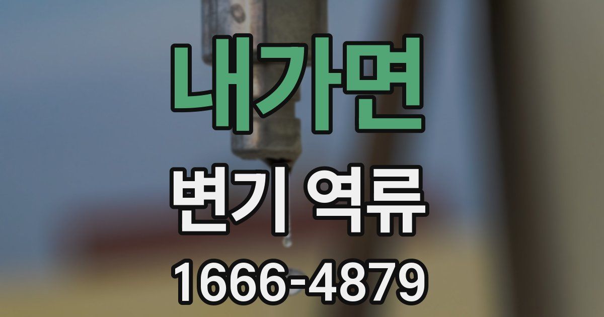 내가면 변기 역류