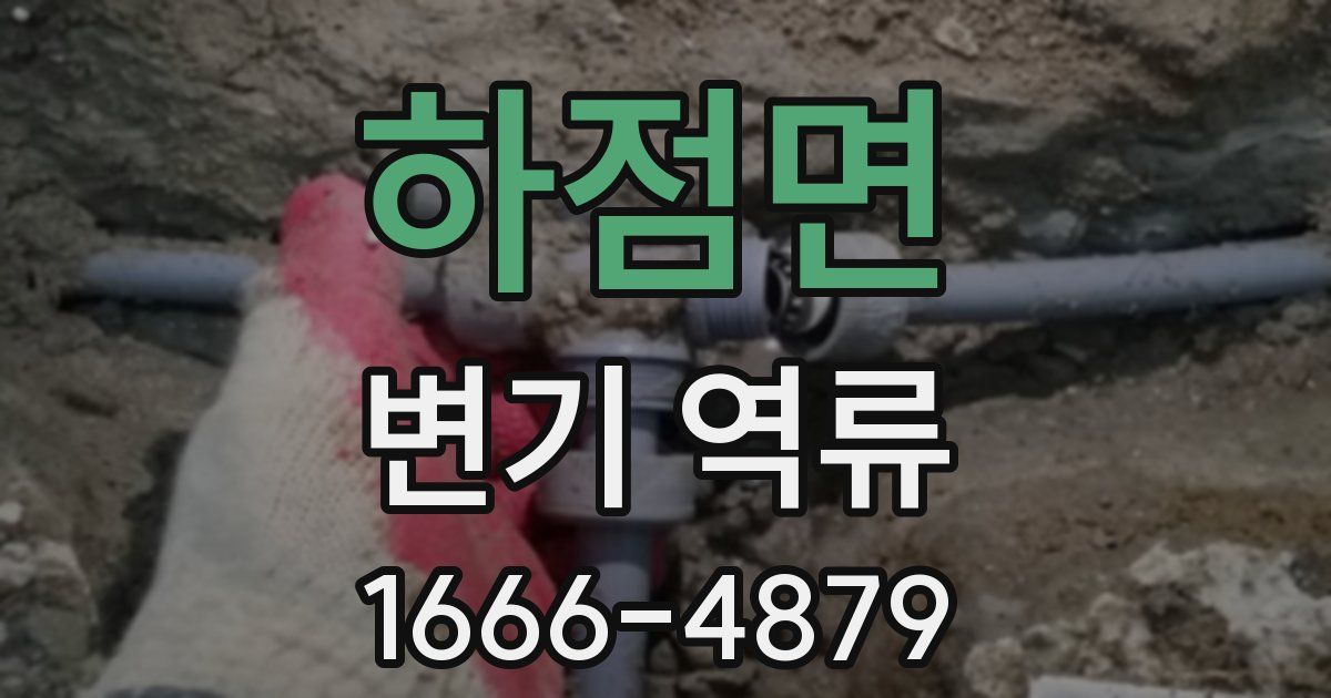 하점면 변기 역류