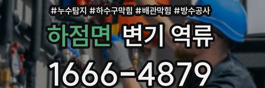 하점면 변기 역류