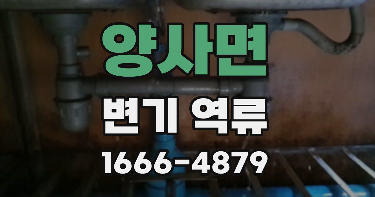 양사면 변기 역류