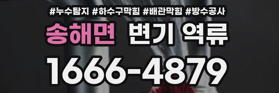송해면 변기 역류