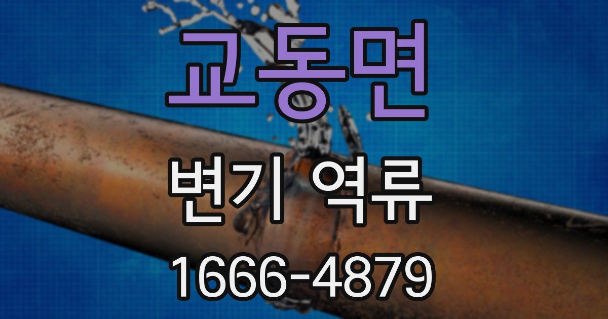 교동면 변기 역류