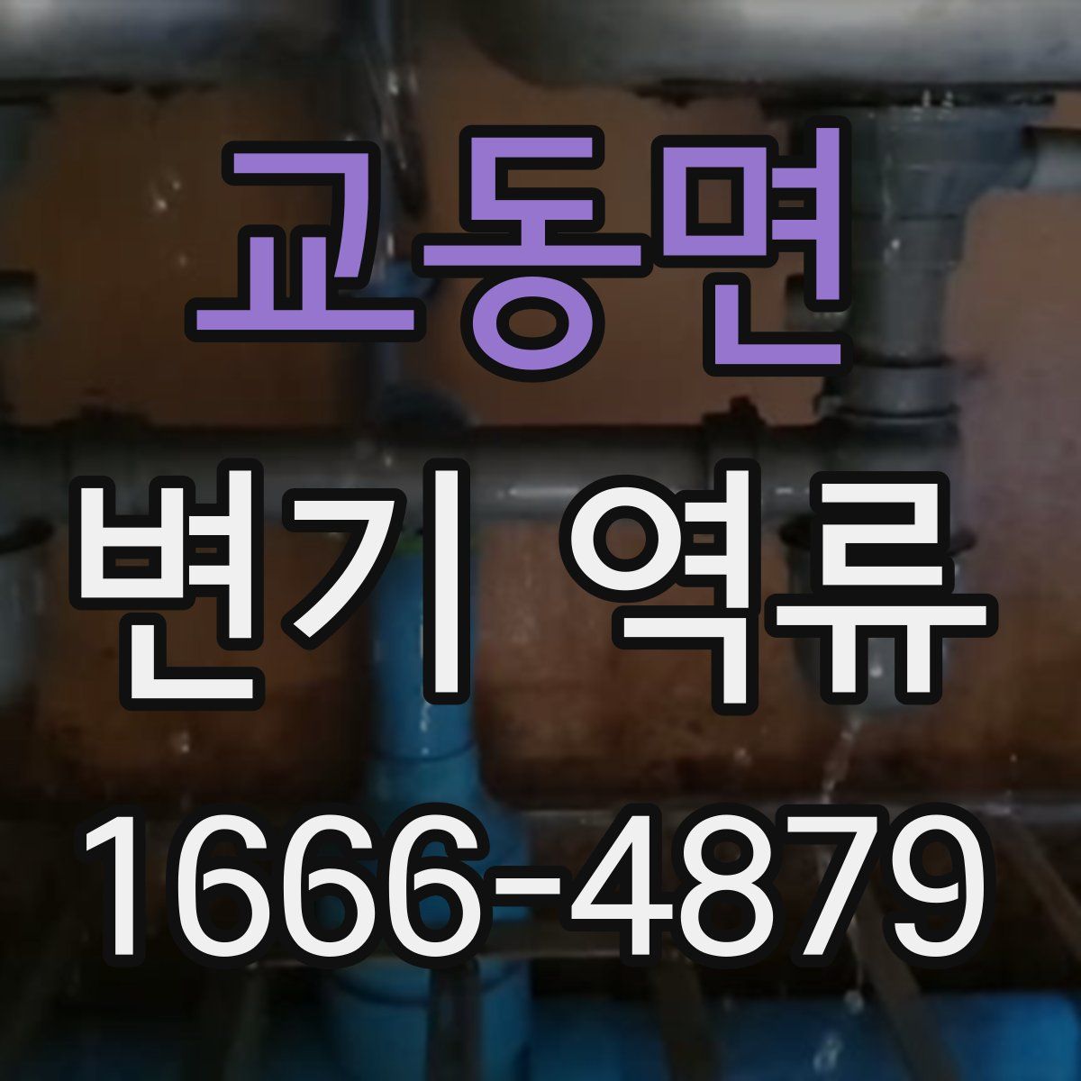교동면 변기 역류