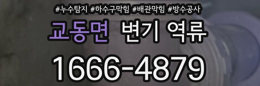 교동면 변기 역류