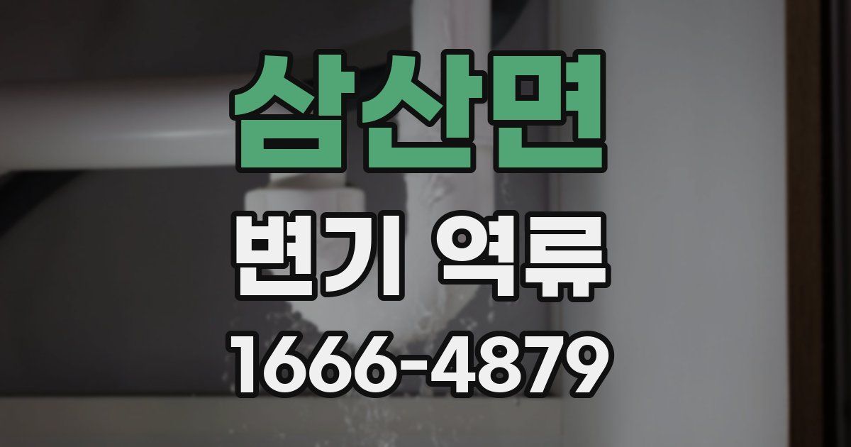 삼산면 변기 역류