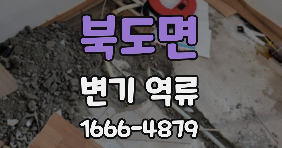 북도면 변기 역류