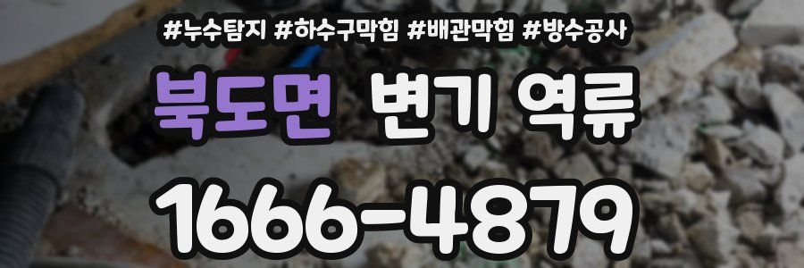 북도면 변기 역류