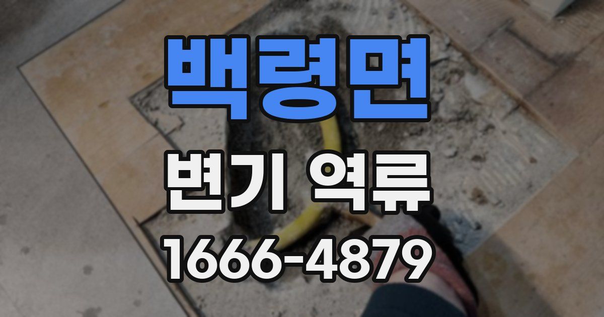 백령면 변기 역류