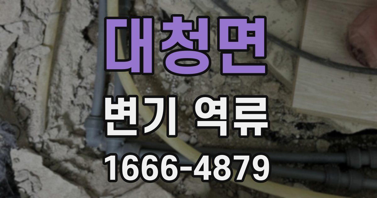 대청면 변기 역류