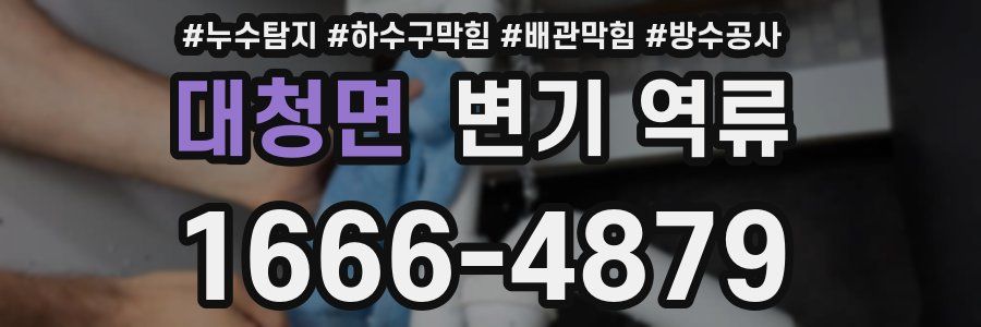 대청면 변기 역류