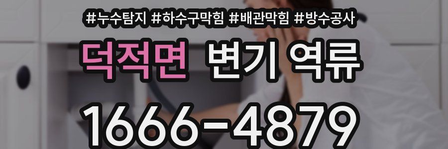 덕적면 변기 역류