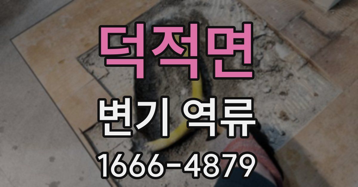 덕적면 변기 역류