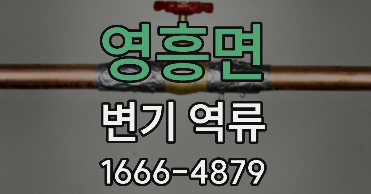 영흥면 변기 역류