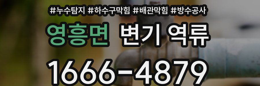 영흥면 변기 역류