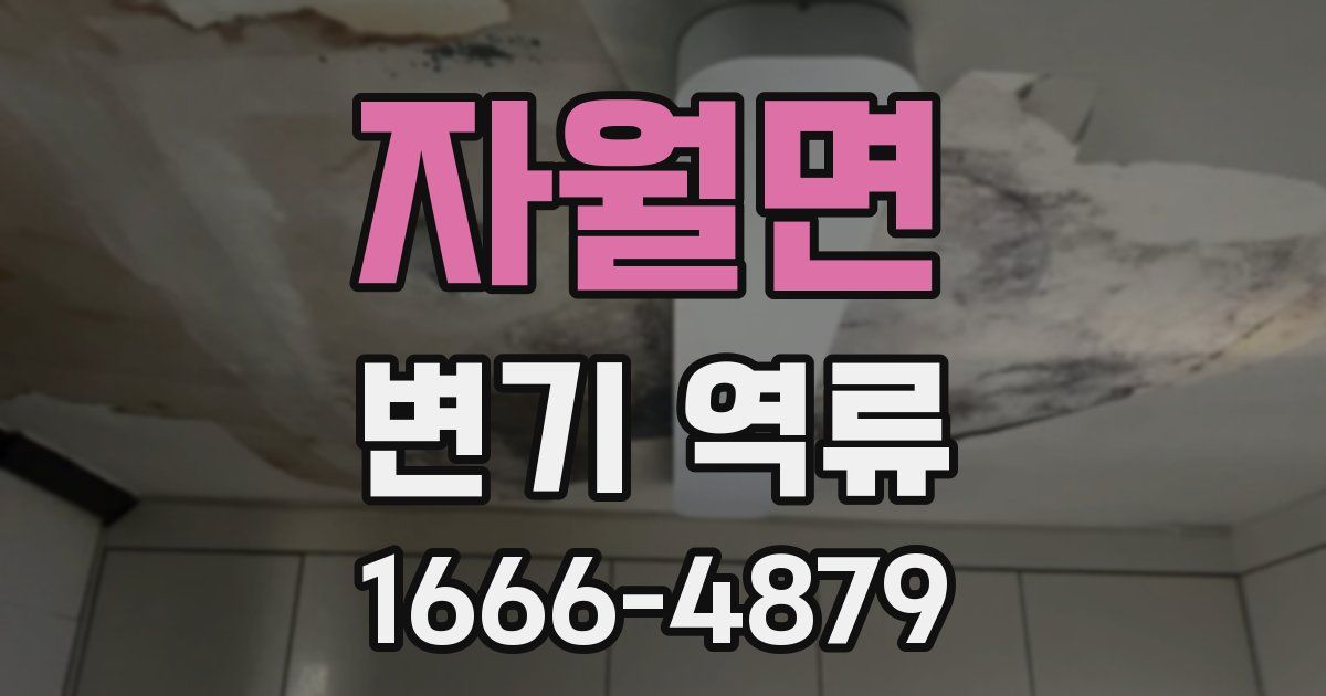 자월면 변기 역류
